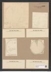 Podosira hormoides var. glacialis Grun. (de-Toni-Nr.: Genus 217, Species 5472) Zeichnungen Sammlung Grunow Nr. 9396 (NHMW-BOT-W0379235)